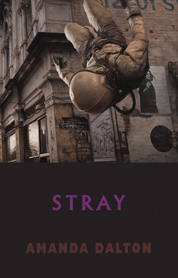 Amanda Dalton - Stray, Häftad