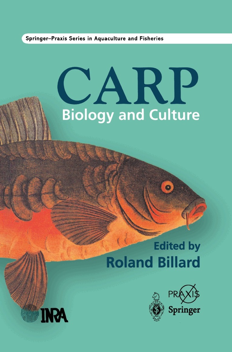 Carp