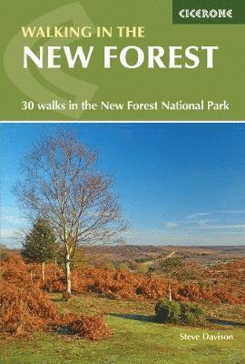 Walking in the New Forest by Steve Davison
