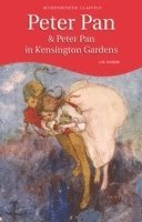 Peter Pan & Peter Pan in Kensington Gardens