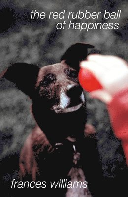 Frances Williams - Red Rubber Ball of Happiness, Häftad