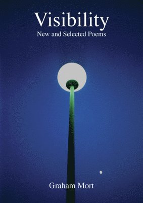 Graham Mort - Visibility, Häftad