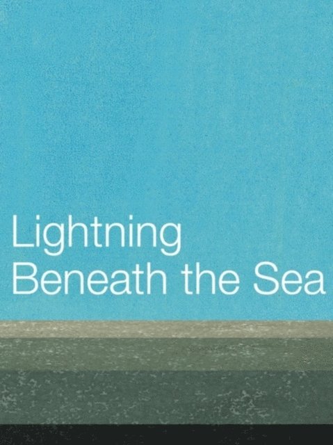 Grahame Davies - Lightning Beneath the Sea, E-bok
