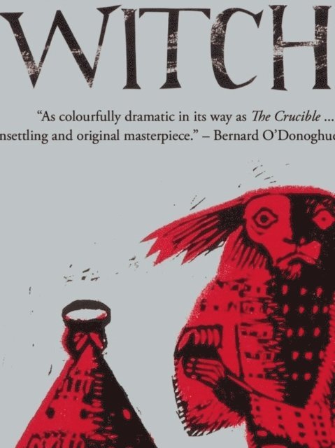 Damian Walford Davies - Witch, E-bok