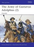 The Army of Gustavus Adolphus (2)