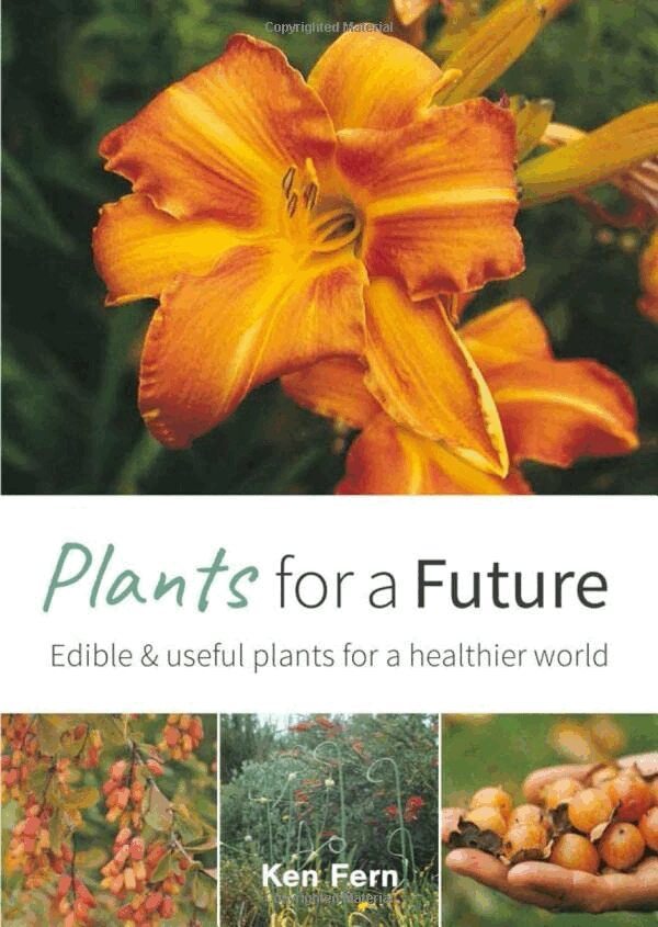 Ken Fern - Plants for a Future: Edible and Useful Plants for a Healthier World, Häftad