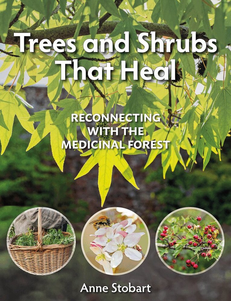 Anne Stobart - Trees and Shrubs that Heal, Häftad