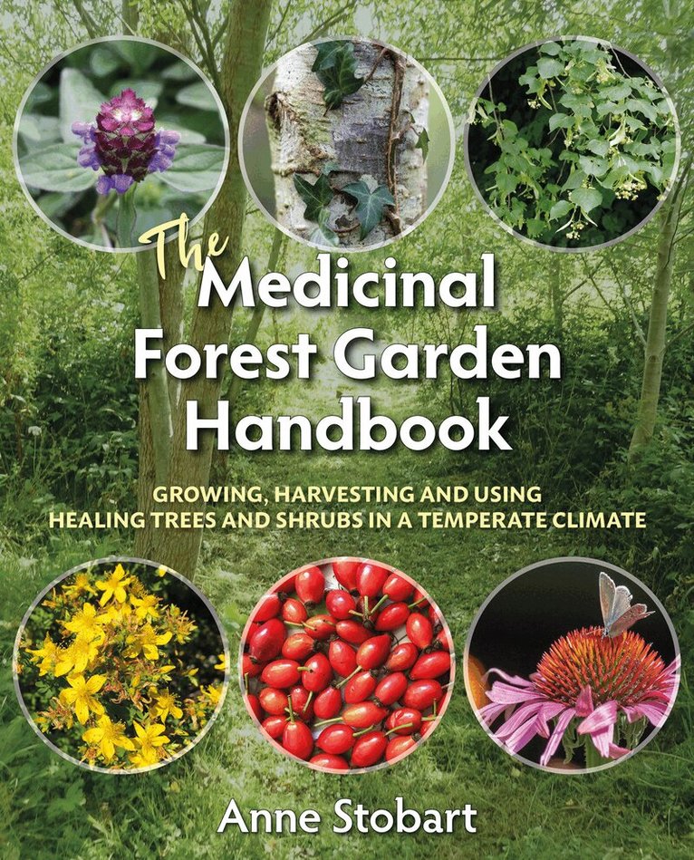 Anne Stobart - Medicinal Forest Garden Handbook, Häftad