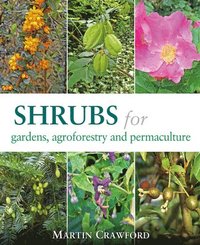 Shrubs for Gardens, Agroforestry and Permaculture