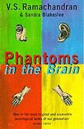 Phantoms in the Brain