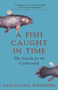 Fish Caught in Time
