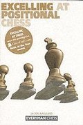 Excelling at Positional Chess: