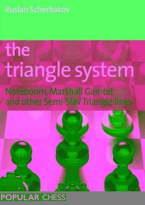 Ruslan Scherbakov - Triangle System, Häftad