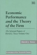 Economic Performance and the Theory of the Firm