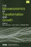 Horst Brezinski, Egon Franck, Michael Fritsch - Microeconomics of Transformation and Growth, Inbunden. Tillgänglighet: Tillfälligt slut