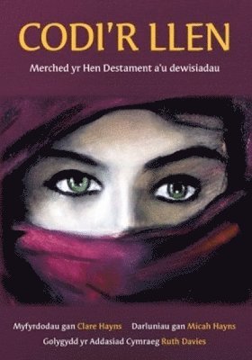 Clare Hayns - Codi'r Llen - Merched yr Hen Destament a'u Dewisiadau, Häftad