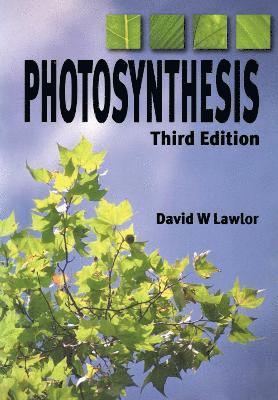 Photosynthesis av David W Lawlor, Lawlor