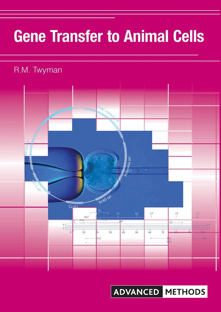 Richard Twyman - Gene Transfer to Animal Cells, Häftad