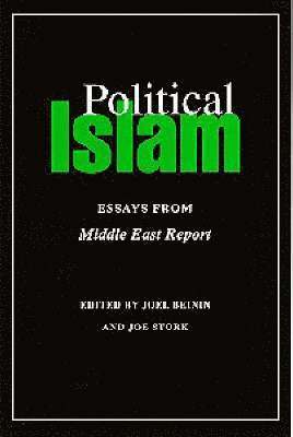 Joel Beinin, Joe Stork - Political Islam, Häftad