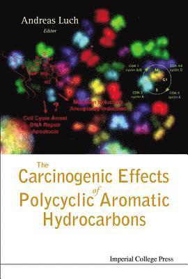 LUCH ANDREAS, Andreas Luch - Carcinogenic Effects Of Polycyclic Aromatic Hydrocarbons, The, Inbunden