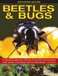 Exploring Nature: Beetles & Bugs