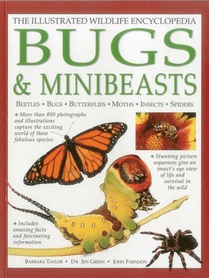 Taylor Barbara - Illustrated Wildlife Encyclopedia: Bugs & Minibeasts, Inbunden. Tillgänglighet: Tillfälligt slut
