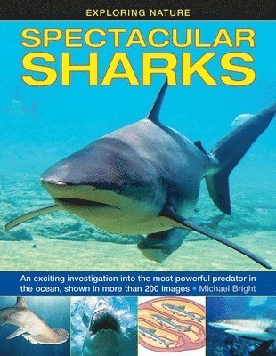 Exploring Nature: Spectacular Sharks