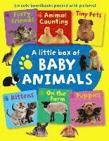 Press Armadillo - Little Box of Baby Animals, Kartonnage. Tillgänglighet: Lägg i varukorg