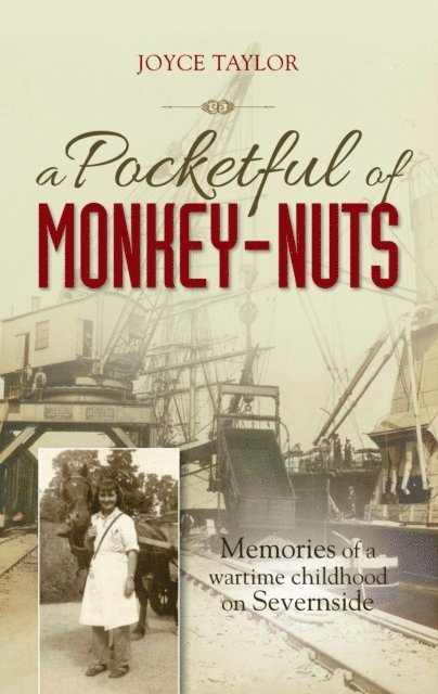 Joyce Taylor - Pocketful of Monkey-Nuts, E-bok