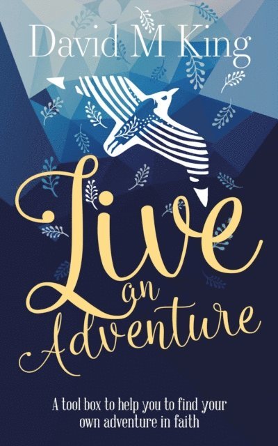 David M King - Live An Adventure, E-bok