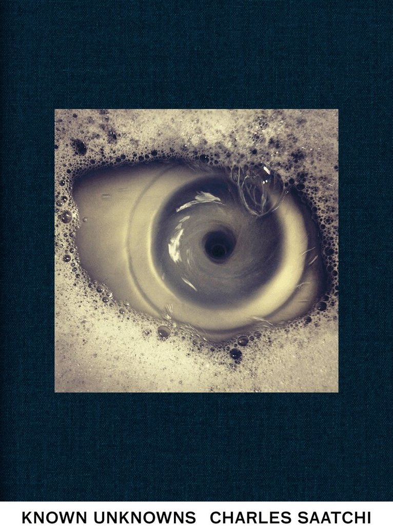 Charles Saatchi - Known Unknowns, E-bok