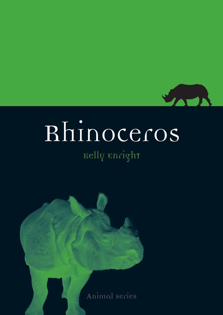 Kelly Enright - Rhinoceros, Häftad