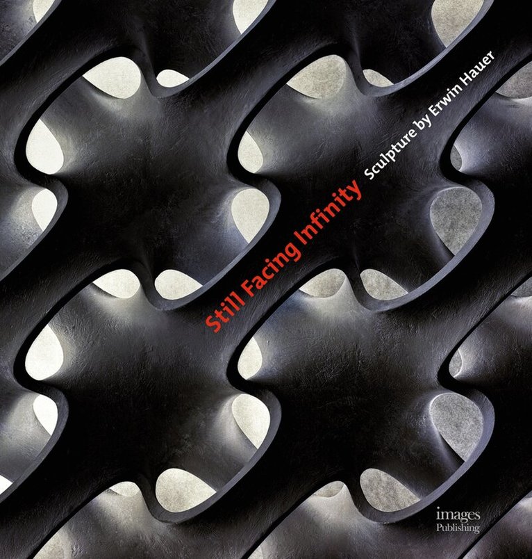 Edwin Hauer, John Hill - Still Facing Infinity, Inbunden