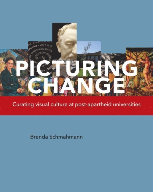 Brenda Schmahmann - Picturing Change, E-bok