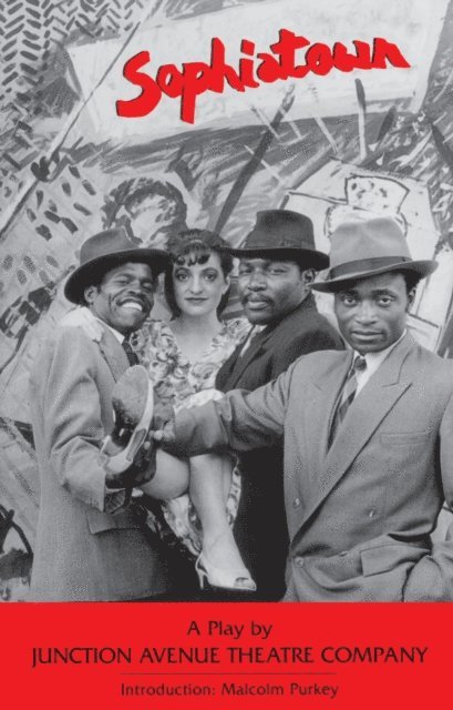 Pippa Stein, Tessa Spargo, Minky Schlesinger, Sarah Roberts, Malcolm Purkey, Ramolao Makhene, Gladys Mothlale, Arthur Molepo, Doreen Mazibuko, Siphiwe Khumalo, William Kentridge, Liz Johannson, Ruth Jacobson, Angus Gibson - Sophiatown, E-bok