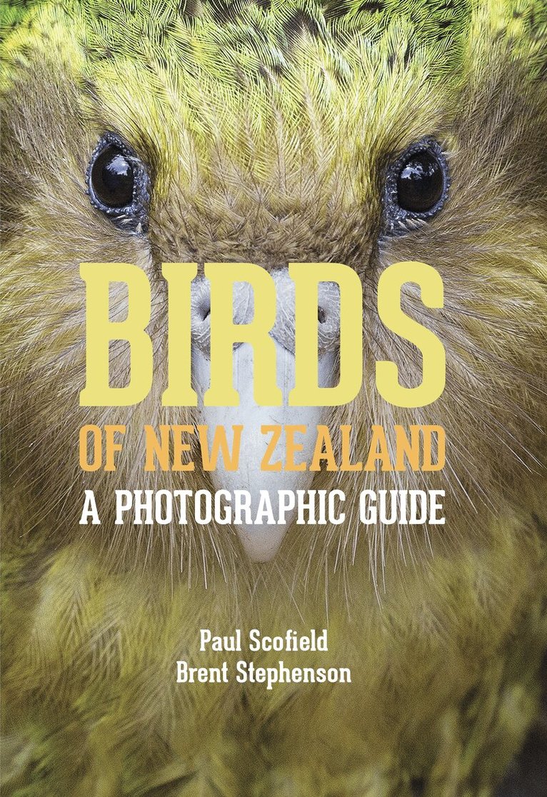 Brent Stephenson, Paul Scofield - Birds of New Zealand, Häftad. Tillgänglighet: Lägg i varukorg