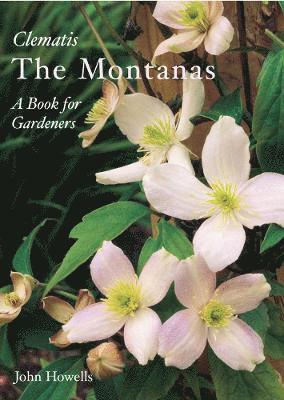 John Howells - Montanas - Everyone's Clematis : A Book For Gardeners, Inbunden. Tillgänglighet: Lägg i varukorg