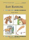Easy Handling: Threshold Picture Guide #50
