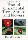 Pests of Ornamental Trees, Shrubs and Flowers