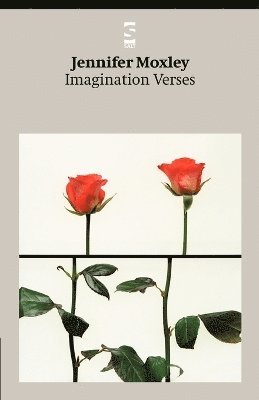 Jennifer Moxley - Imagination Verses, Häftad