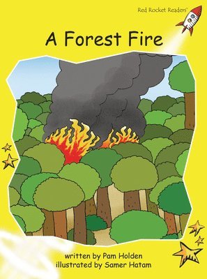 Pam Holden - A Forest Fire, Häftad