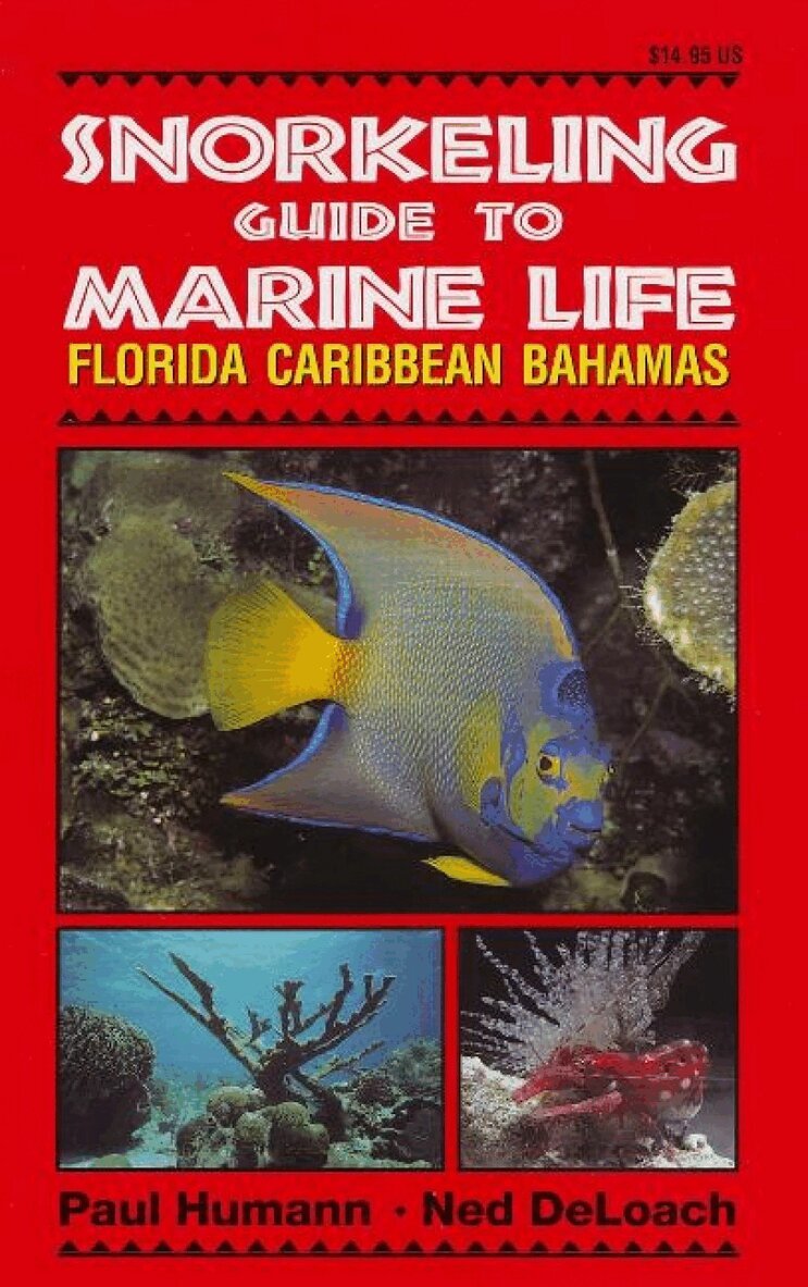 Paul Humann, Ned DeLoach - Snorkeling Guide to Marine Life, Häftad. Tillgänglighet: Lägg i varukorg