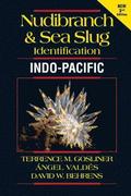 Nudibranch and Sea Slug Identification Indo-Pacific