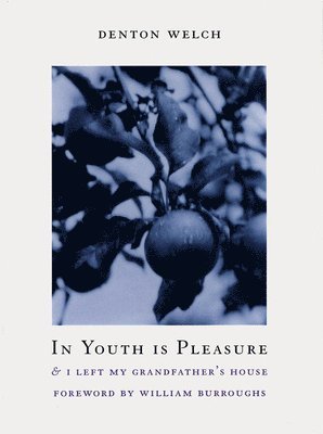Denton Welch - In Youth Is Pleasure, Häftad