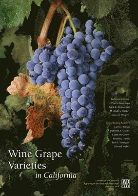 L Peter Christiansen, Nick K Dokoozlian, M Andrew Walker, James A Wolpert - Wine Grape Varieties in California, Häftad. Tillgänglighet: Tillfälligt slut