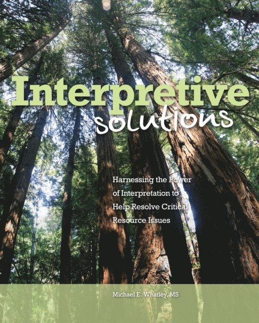 Michael E. Whatley - Interpretive Solutions, E-bok