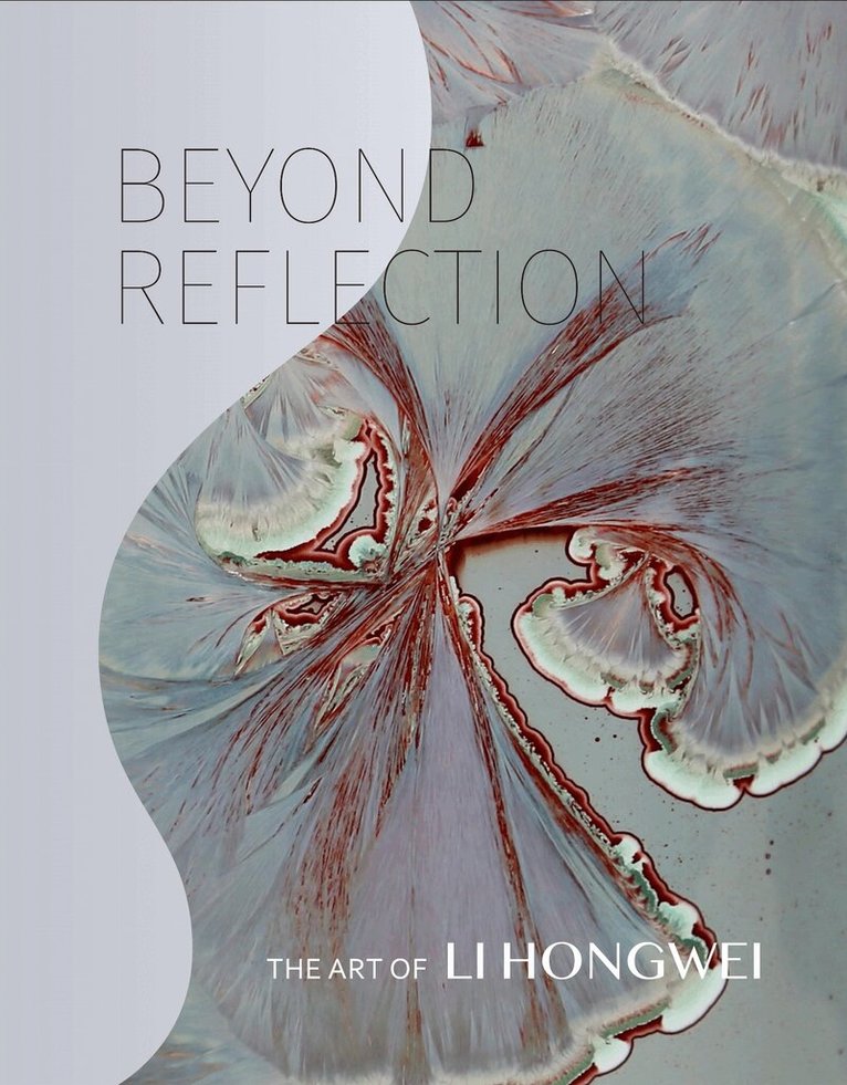Tao Wang, Wayne Higby, Mary Drach McInnes, Michaël Amy, Andrew L. Maske - Beyond Reflection, Inbunden. Tillgänglighet: Tillfälligt slut