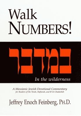 Jeffrey Enoch Feinberg - Walk Numbers: A Messianic Jewish Devotional Commentary, Häftad
