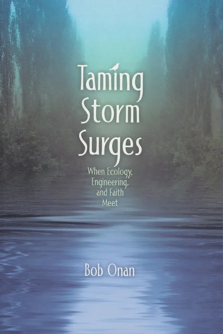 Bob Onan - Taming Storm Surges, Häftad. Tillgänglighet: Lägg i varukorg