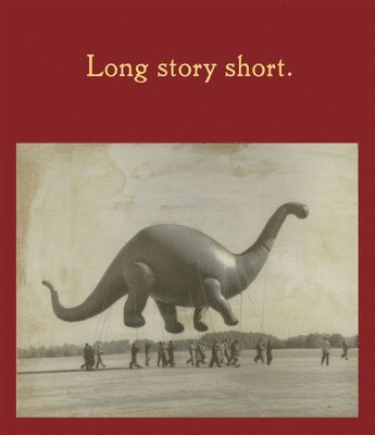 Jeffrey Fraenkel - Long Story Short, Inbunden
